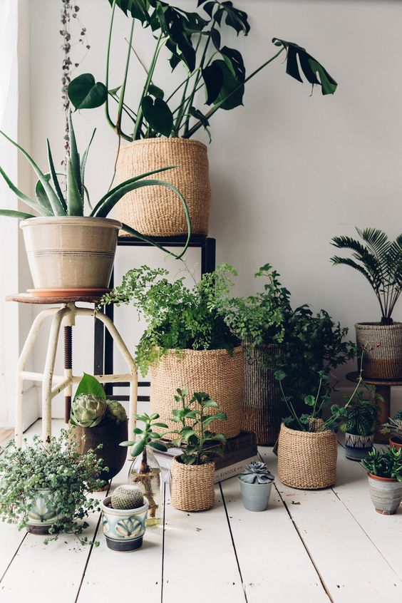 Greenery, color tendencia 2017