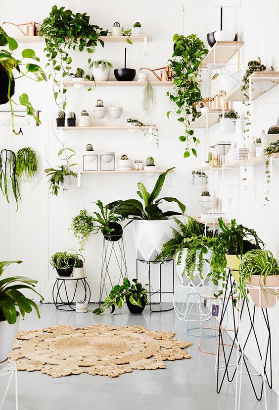 Greenery, color tendencia 2017