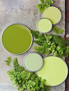Greenery, color tendencia 2017
