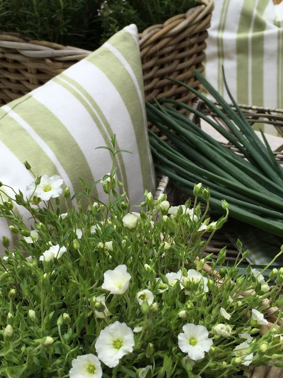 tendencias primavera